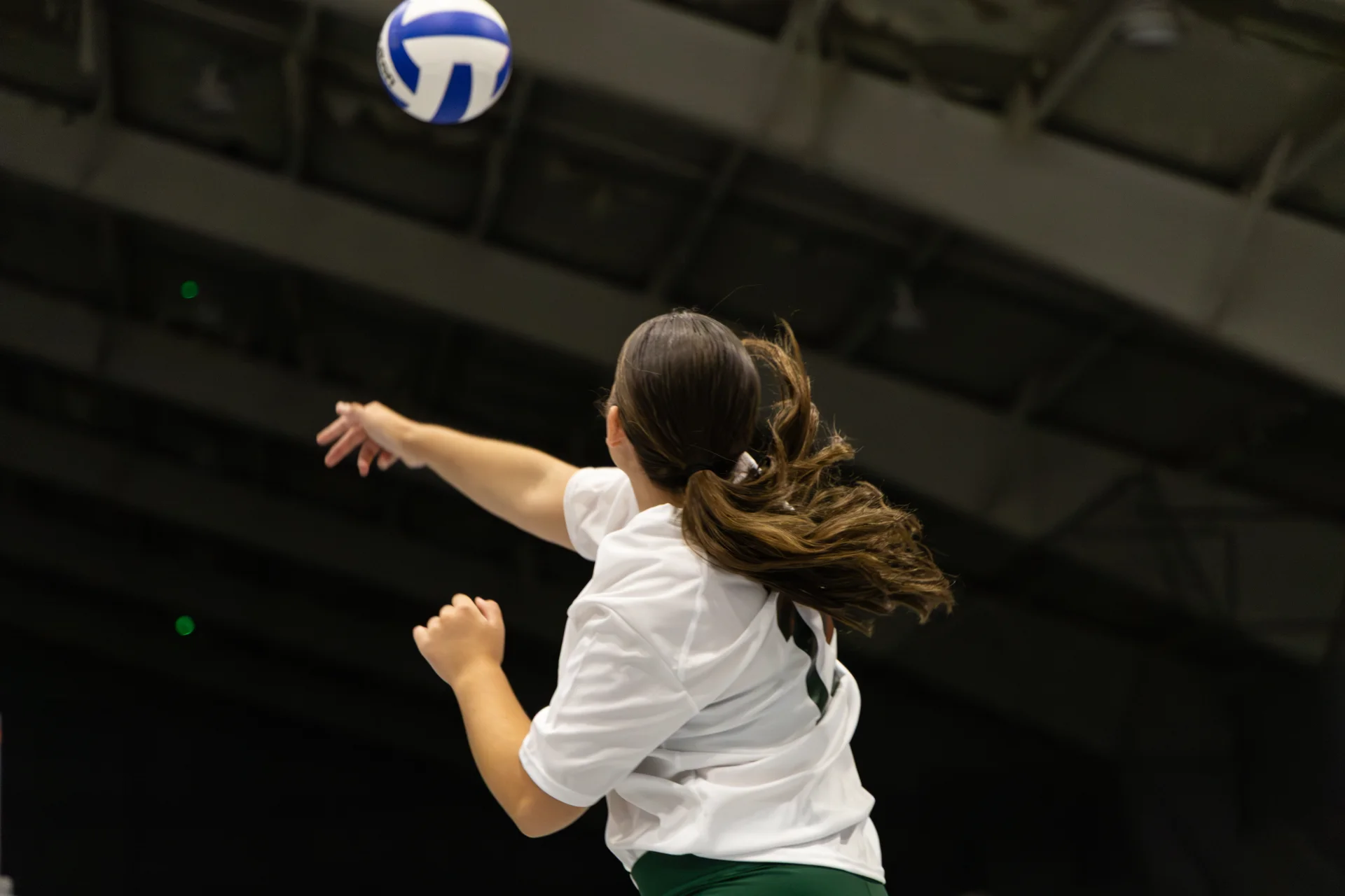 557a1938.webp