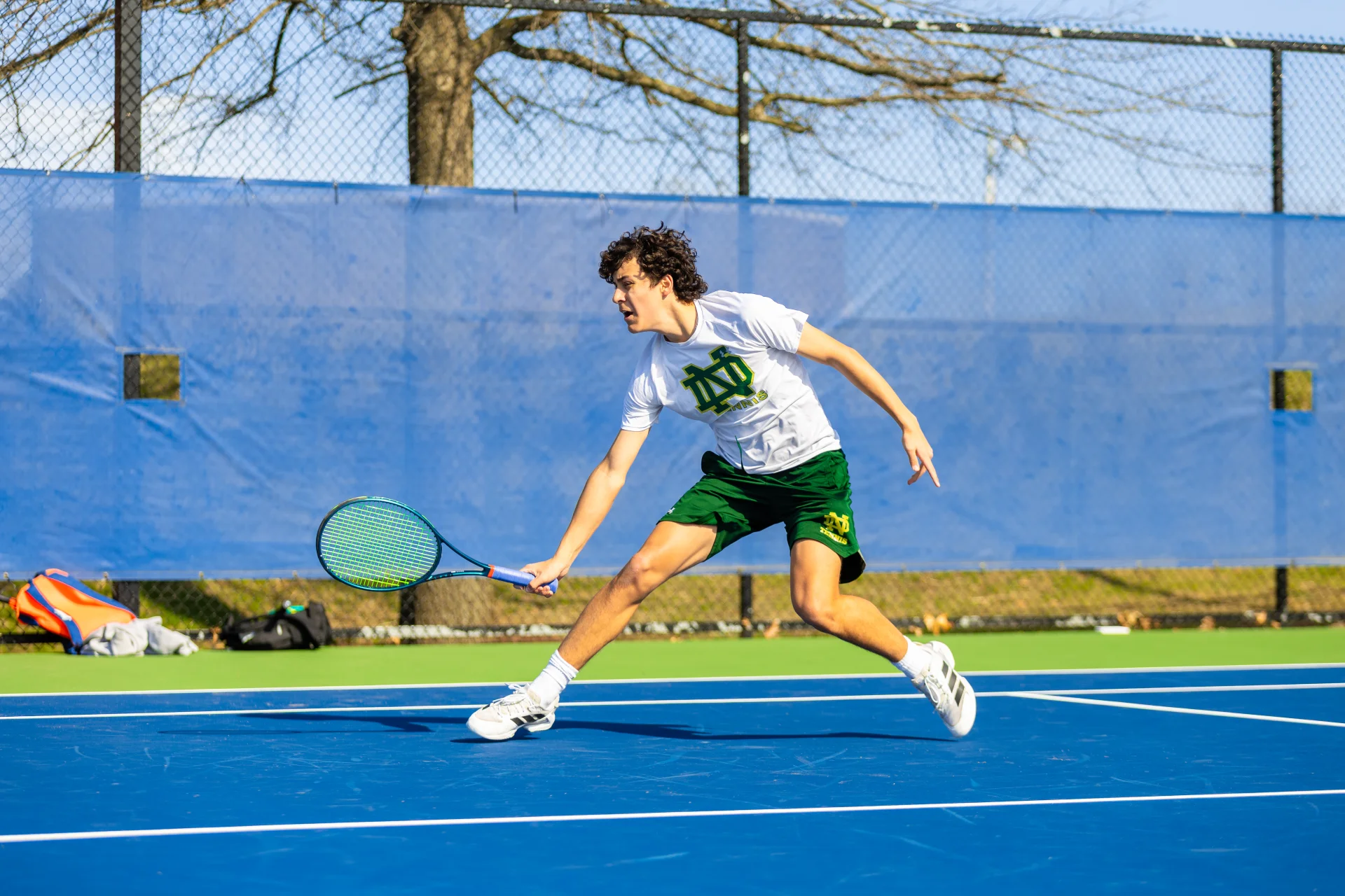 557a0986.webp